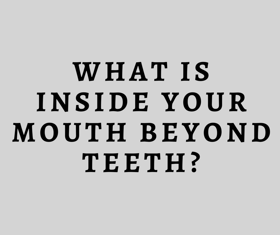 What is inside your mouth beyond teeth?
